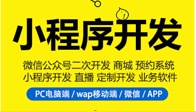 制作小程序，不知道小程序分类，小程序制作很难